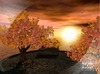 34220 ad autumn sunset   animated 3d wallpaper