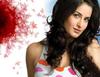 Katrina Kaif Wallpaper 1